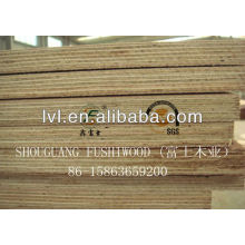 Chinese Eucalyptus plywood